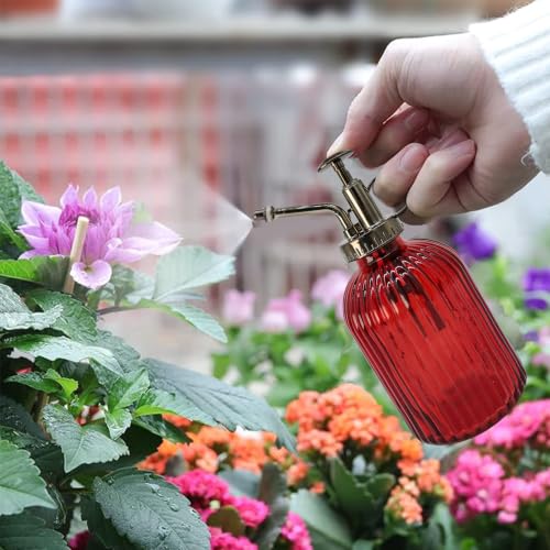 Glass Plant Mister Spray Bottle, 350ML Vintage Plant Spritzer with Top Pump Watering Can for Indoor Outdoor House Plants,Flowers (Red) - color: Red
