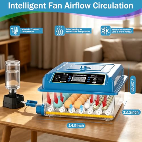 36 Eggs Incubators for Hatching Eggs,Egg Incubator with 4 Auto Incubate Mode, Chicken Incubator with Humidity Display Auto Water Filling,Quail Incubator with Automatic Egg Turning(Blue) - color: Blue, size: 36 Egg