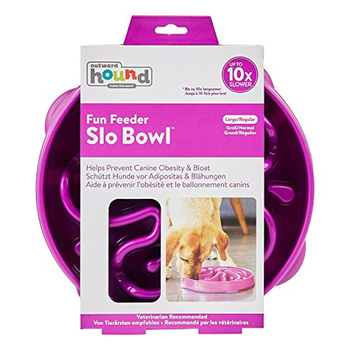 Outward Hound Fun Feeder Slo Bowl – Large 4‑Cup Capacity,Slow Feeding,Medium to Large Dogs,Non‑Slip,Purple,Flower Pattern,(Pack of 6) - color: Purple, size: Large (Pack of 6)