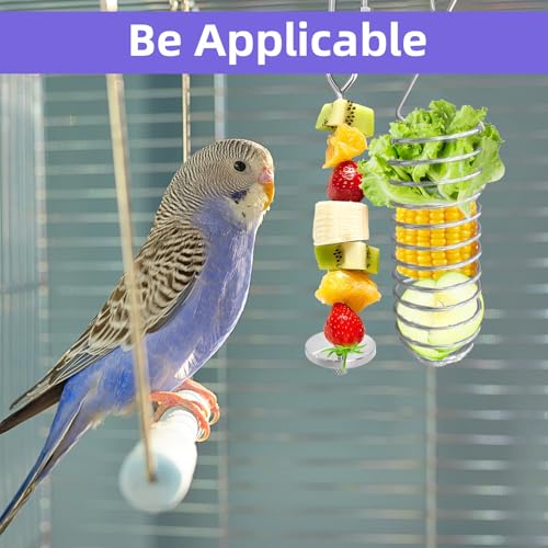6Pcs Rat Enrichment Toys, Stainless Steel Rat Foraging Toy | Fruit Vegetable Holder, Bird Food Holder, Hanging Slow Feeder Clip, for Parrot Bird Rodents