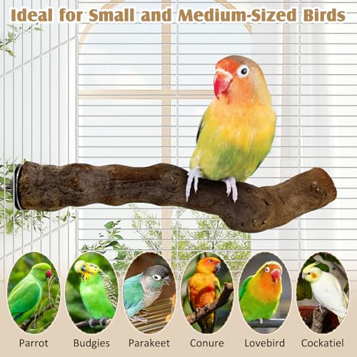 6 PCS Bird Perch Set Natural Wood Parrot Stand Branch Hanging Parakeet Chewing Stick Paw Grinding Fork Platform Bird Cage Accessories for Cockatiel Budgies Conure (Large) - size: Wooden:11.8 Inch