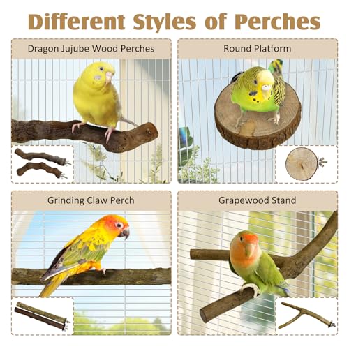6 PCS Bird Perch Set Natural Wood Parrot Stand Branch Hanging Parakeet Chewing Stick Paw Grinding Fork Platform Bird Cage Accessories for Cockatiel Budgies Conure (Small - size: Wooden:7.87 Inch