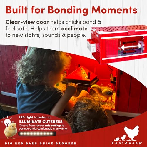 RentACoop Big Red Barn Chick Brooder