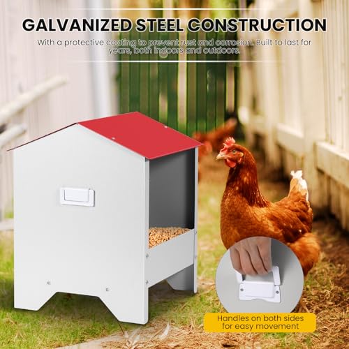 10Lbs Metal Chicken Feeder with Weatherproof Lid | Chicken Oyster Shell and Grit Feeder Poultry Feeding Trough for Hens, Ducks, Geese, Coop Accessories Supplies