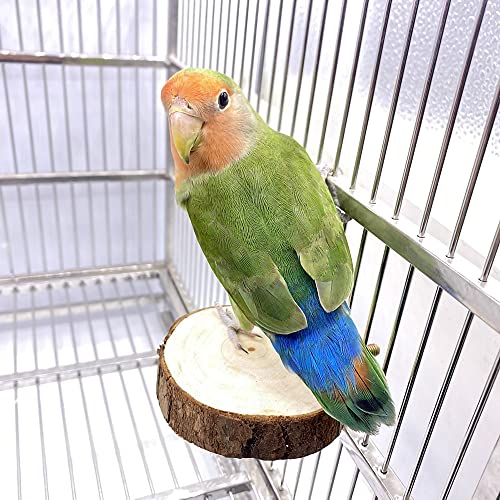 9-Piece Parakeet Toys & Budgie Toys, Bird Cage Accessories Set | Natural wood bird toys include coconut hideaway, swing, ladder, perch, mirror and hanging toys for budgies & cockatiels