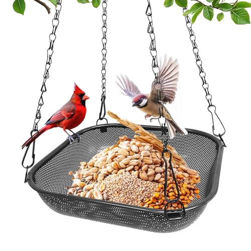 Hanging Platform Bird Feeder, 11 in Square, Black | Stainless Steel Mesh Seed Tray, Backyard & Patio, Outdoor Use - color: Black - Square