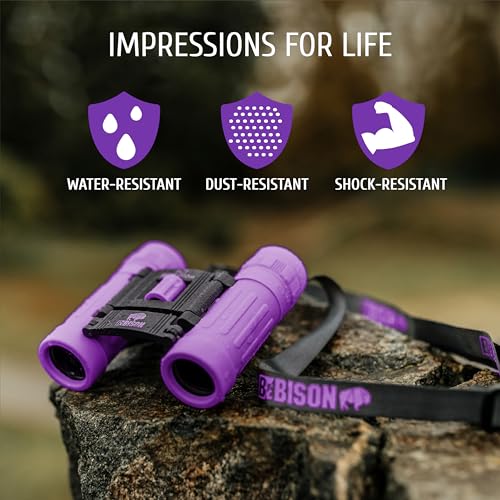 BeBison Binoculars for Kids and Adults - 8x21 High Resolution Real Optics - Compact Folding Shockproof Kids Binoculars for Bird Watching - Spy Games - Outdoor Play for Boys and Girls - color: Purple
