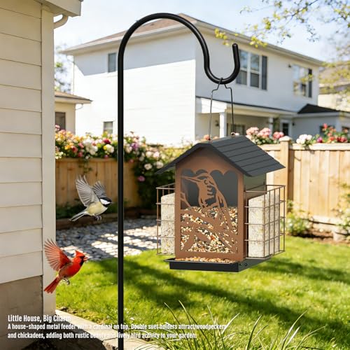 Birdream Bird Feeders for Outdoors, 5 Lbs Metal Bird Feeder with Double Suet Cages, 2 in 1 Mixed Seeds Suet Feeder, Large Capacity & Weatherproof Metal Roof, Attract Cardinals Wildbird Woodpecker