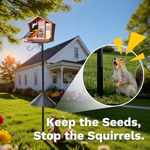 Smart Bird Feeder with Camera Solar Powered 2K UHD Video | AI Identification 10,000+ Bird Live Instant Arrival Alerts and Real-Time Motion Detection Weatherproof Bamboo for Outdoor - color: Dark Brown