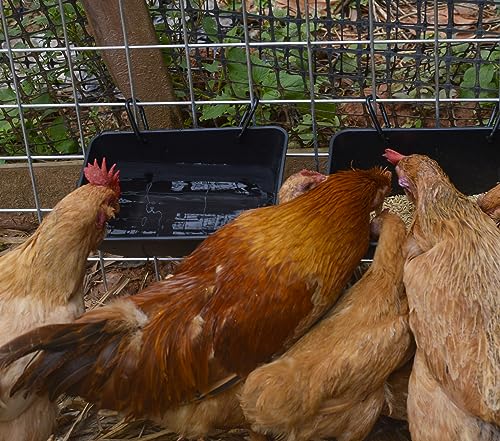 mozoba Hanging Chicken Feeder Trough for Goat Sheep Deer Poultry Duck Chicken Fence Feeder Livestock Feeding Container Goats Supplies Feeders Waterer Bucket (Matte Black) - color: Matte Black