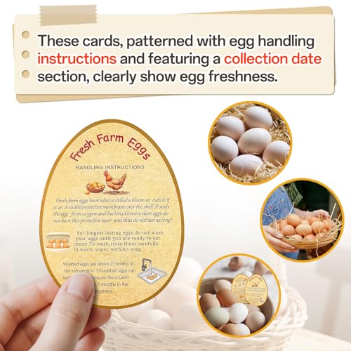 3 in 1 Total 1850pcs Farm Fresh Egg Stickers Set Including 250pcs Handing Instruction Cards,800pcs 2” Round Unwashed just got Laid Carton Stickers,800pcs Rectangular Please Return Egg Carton Labels - style: 3 in 1 Egg Stickers Set
