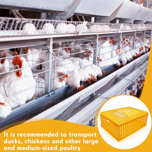 Sintuff Poultry Carrier Crate Plastic Chicken Transport Cage Bird Carriers Chickens Carrier Travel Crate Basket Box for Poultry Chicken Bird Duck Goose, 29.5 x 21.7 x 11.6 Inch (2 Pcs)