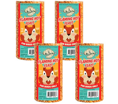 Mr. Bird Flaming Hot Feast Spicy Bird Seed Cylinder, 4-Pack, 1 lb 3 oz | Premium Blend of Mealworms, Peanuts & Hot Pepper | Squirrel Repellent | Handcrafted in Texas - size: 1.19 Pound (Pack of 4)