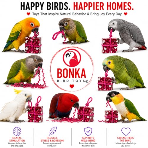 Bonka Bird Toys 2764 Valentine Heart Box Forager 8" x 5" Shreddable Paper and Rope Valentine Treat Toy for Small and Medium Birds Mental Enrichment and Cage Activity Conure Cockatiels and Similar