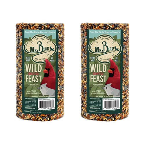 Mr. Bird WildBird Feast Cylinder, 2-Pack, 1 lb 15 oz | Wild Bird Seed for Outside Feeders | Premium Blend of Pecans, Sunflower Hearts & Millet | No Mess, No Melt - size: 1.75 Pound (Pack of 2)