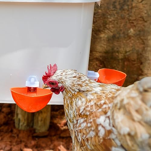 Large Automatic Chicken Feeder and Waterer Set Hanging Chicken Water Feeder Poultry Feed Bucket - color: White