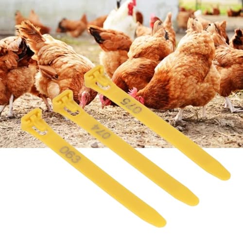 100Pcs Numbered Poultry Leg Rings 1-100 Identification Tags Reusable Bands for Chickens Ducks Geese Pigeons(Yellow) - color: Yellow