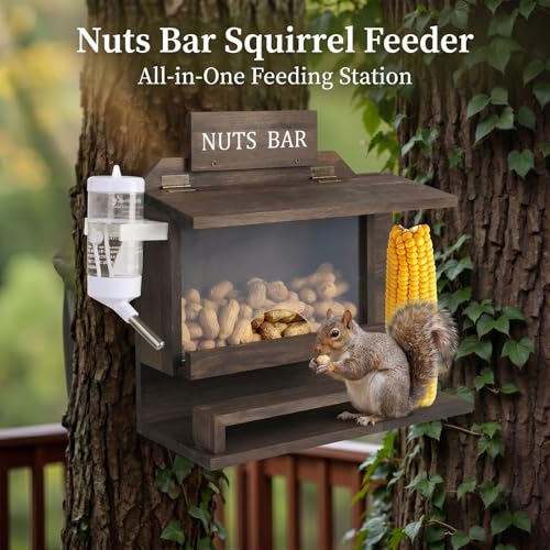 Hanging Squirrel Feeder for Outside with Picnic Table Design & Detachable Water Bottle - Funny Squirrel Picnic Table, Wooden Chipmunk Feeder for Backyard, Garden, Patio - No Assembly Required - Walnut