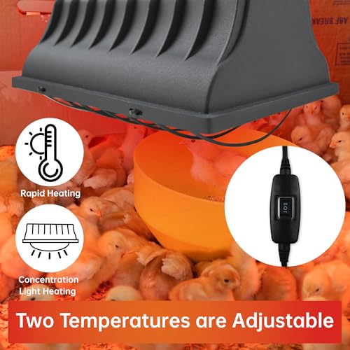 Chicken Coop Heater for Chicks,Brooder Heater with 2pcs Heat Lamp(250W and 175W),Adjustable Temp & Height Chicken Brooder Box Supplies for Chicken Livestock Dogs Sheep Pets