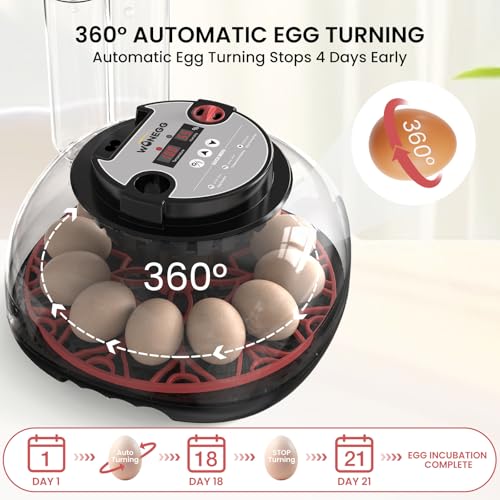 12 Egg Incubator for Hatching Chicken/Quail/Duck Eggs, Auto Turning, Digital Humidity/Temp Control, LED Candler, Auto Water Refill, 360° View (Smart Sensor) - color: Onyx Crimson