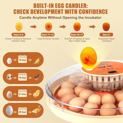 Gen IV - 30 Egg Incubator, Wide-Range Humidity with Manual Water Fill, Stable Temp Control, Dual-Size Egg Slots, Auto Egg Turning, Candler, Real-Time Display for Hatching Poultry Eggs - size: 30 egg-white
