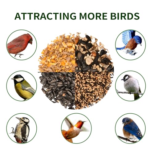 Solution4Patio US Cedar Hopper Bird Feeder for Outdoors Hanging, Handcrafted Wood Double Suet Cage & Clear View Windows, Squirrel-Proof Wild Bird Feeder for Cardinals, Finches, Chickadees - style: Rectangle
