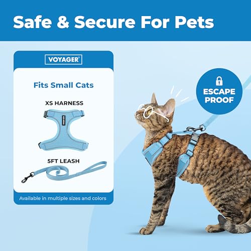 Voyager Escape-Proof Step-in Lock Cat Harness & 5ft Neoprene-Handle Leash Set All-Weather Mesh with Reflective Stitching for Small to Large Cats by Best Pet Supplies, Baby Blue (327), XS - color: Baby Blue (327), size: XS (Chest: 13 - 16")
