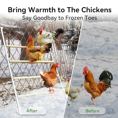 PETSFIT Square Chicken Roosting Perch, 55"x40", 8-10 Chickens | Solid Fir Wood,Chicken Perch for Backyard Farms, Coops, Encourages Exercise and Natural Behavior,Easy Assembly and Clean - size: 55.0"L x 40.0"W x 2.5"H