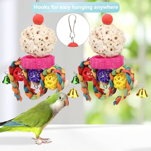 Wontee Bird Toys 3 Pack Parrot Foraging Hanging Toys Sola Ball Natural Nuts Chew Toys for Cockatiels Conures Parakeets Budgies Senegal (2 Pack-Colorful) - size: 2 Pack-colorful