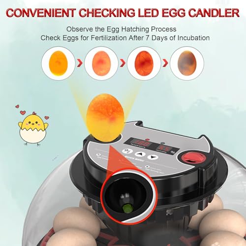 12 Egg Incubator with Auto Turner, Built-in Candler & Humidity Display | Suitable for Hatching Chicken Duck Quail Bird - size: 12 Egg