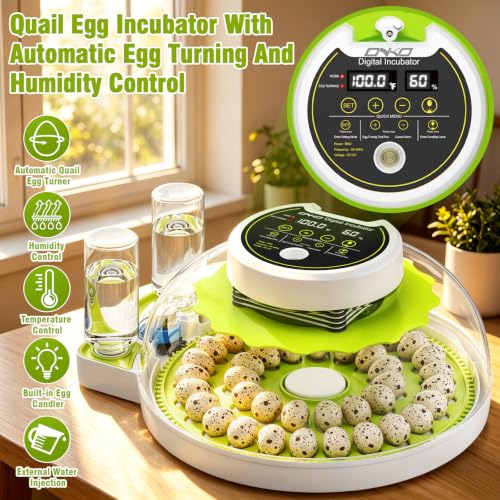 Quail Egg Incubator for Hatching 40 Quail Eggs with Automatic Turner | and Humidity Control,Small Brooder, Outdoor Poultry Egg Incubator, Suitable for Parrot Canary and Other Bird - color: Green