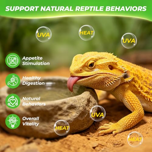 LUCKY HERP Reptile Heat Lamp Bulbs 100W, UVA Daylight Basking Bulbs 2 Pack | Fast Heating, Simulates Natural Sunlight, Ideal for Bearded Dragons Geckos Lizards Turtles Chameleons Amphibians & Chickens - size: 100