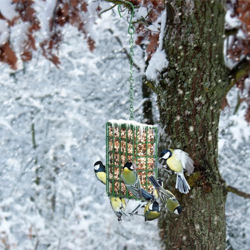 Bird Feeder for Outdoors, Suet Feeder for Outside Hanging Suet Basket Cage | 2 Pack Hanging Bird Feeder Adjustable Chain Hanging for Garden Yard Outside - Suet Cake Feeders Squirrel Proof birdfeeder - style: 2 Packs