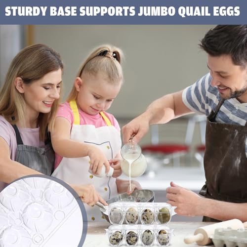 60 Pcs Giant Quail Egg Cartons 12 Grids Clear Plastic Stackable Trays for Jumbo Quail Eggs, Pigeon Eggs, Small Poultry, Great for Home Fridge Storage, Farm, Market, Gift Box Packing