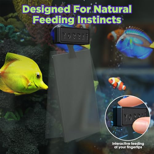 YOBBAI Magnetic Seaweed Feeder, Swinging Motion Nori Feeder, Seaweed Clip for Tangs Angels Freshwater and Shrimp Tanks (Black; NO Text) - color: BLACK; NO TEXT