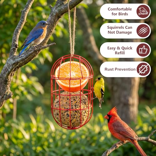 SheeChung Metal Suet Ball Holder for Bird Buddy,Bird Water Feeder Outdoor | 5mm Screw Hole,Bird Buddy Accessories,Smart Feeder Replacement Part,Nutrition Set for Bird Feeder,Easy to Clean & Refill - color: Red Oval, size: with Water Feeder