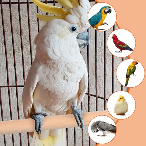 Bird Perch Wooden Parrot Perchs Stand, 4PCS Parrot Perches Toys Wood Perches with Different Widths Bird Cage Toys Cage Accessories for Macaws, Small Parakeets, Conures, Budgies, Finches