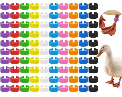 100 Pcs 20mm Duck Identification Leg Bands with 10 Color, Chicken Duck Ankle Tags Poultry Leg Foot Rings for Ducks Chicken Guinea Goose Gamefowl Turkey - size: 20mm - 100pcs