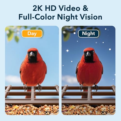 PeckCam® Bird Feeder with Camera Solar Powered 2K Live Video Auto Capture | AI Bird Species Identification, Instant App Alert, IP65 Waterproof, Easy Setup, Backyard Bird-Watching, Gift for Bird Lovers - color: Light Brown