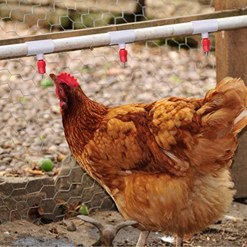 Outus 50 Pack Chicken Waterer PVC Tee Fittings, Fully Automatic Poultry Waterer PVC Fittings for Threaded Chicken Water Nipples, Cups, Drinker, Feeder, Duck, Quail, Turkey Coop Accessories, White