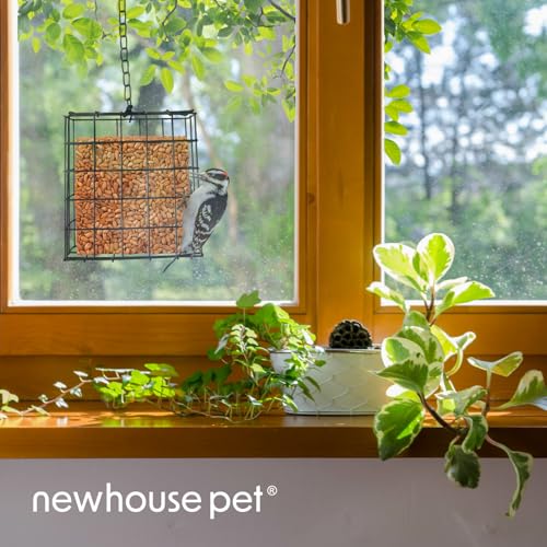 Newhouse Pet Single Cake Suet Basket Bird Feeder NHP-Suet-BLK, Small Hanging Bird Feeder for Outdoors, Suet Cake Holder for Jays, Woodpeckers, Chickadees, Wrens, and Other Birds - style: Suet Feeder