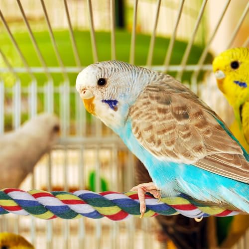 Hemobllo Parrot Cotton Rope Perch 23.62 Inch Bird Rope for Cages Climbing and Chewing Toy Standing Station for Parakeets Balance Training Exercise and Boredom Relief - size: 60cm