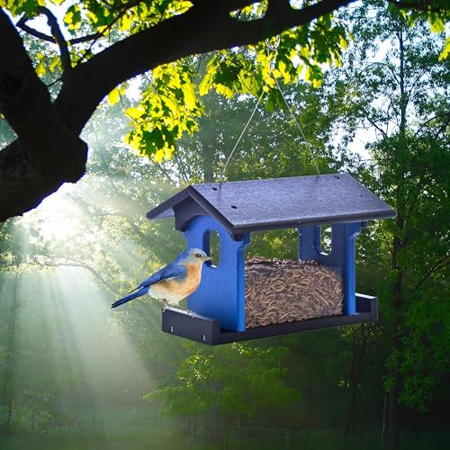 Poly Bluebird Feeder Durable Hanging Weather-Resistant Mealworm and Wild Bird Feeder Outdoor Feeder for Blue Birds Easy Fill-Clean Design Handcrafted in the USA (Blue-Black) - color: Blue-Black