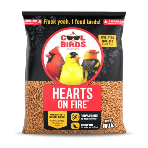 Cool Birds Hearts on Fire Hot Bird Seed, 10 lb | 100% Hulled Sunflower Hearts with Chili Pepper Oil – No Waste Bird Seed for Outside Feeders