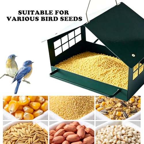 All-Metal Platform Bird Feeder, Dark Green Hanging Feeder | Double-Sided Long Perches, Stainless Steel Mesh Tray, Extended Roof Eaves and Rust-Resistant Finish for Small Birds