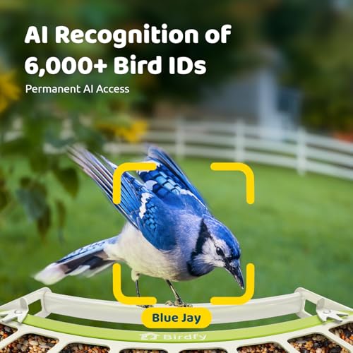 Smart Bird Feeder with Camera, Durable Metal Feeders for Outdoors, Auto-Identify & Record Video, Instant Alert, Live Bird Watching Camera Solar, Gifts for Backyard Birder (AI Lifetime Free) - style: AI Lifetime Free