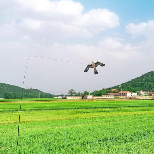 Bird Scarer Kite Without Pole Crops Farm Protector Hawk Flying Kite-Type-B | Ideal for gardens farms and docks | Keeps birds geese and seagulls away |A kind of hawk deterrent - color: Brown-Grey