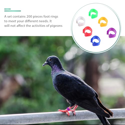 200Pcs Pigeon Foot Rings Lightweight Bird Leg Bands for Easy Identification of Pigeons Parrots and Small Birds Multi-Color Clips for Poultry Use