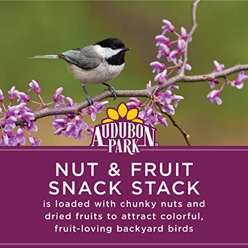 Audubon Park Nut & Fruit Snack Stack Wild Bird Food, Bird Seed Cake for Outside Feeders, 6-Pack | Bird Seed Cake for Outside Feeders