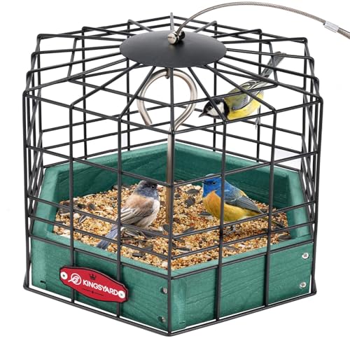 Kingsyard Squirrel Proof Platform Bird Feeder | Metal Mesh Tray, Recycled Poly Lumber Feeder, Great for Small Wildbirds Finches Bluebird Mealworm, Green - color: Green